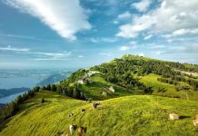 Chiêm ngưỡng toàn cảnh vẻ đẹp núi Rigi khi đi tour du lịch Thuỵ Sĩ Chiêm ngưỡng toàn cảnh vẻ đẹp núi Rigi khi đi tour du lịch Thuỵ Sĩ